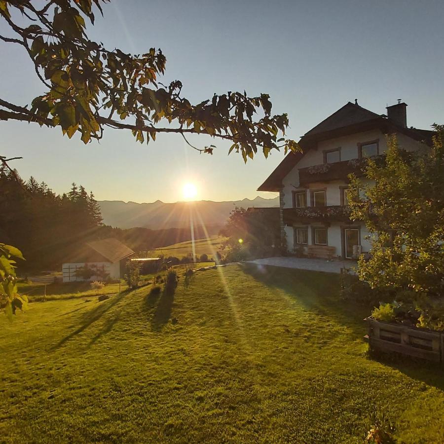 Schweizer Hof Apartment Tamsweg Exterior photo